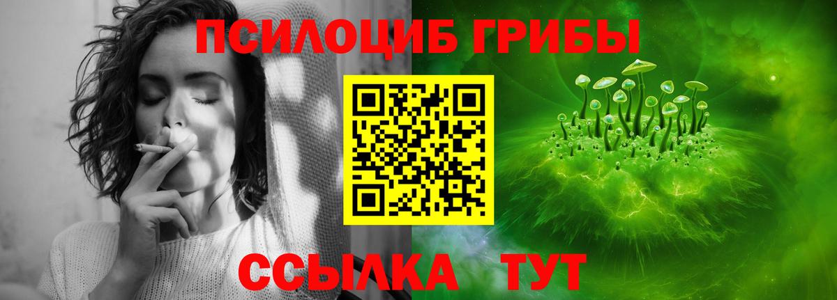 Галлюциногенные грибы Cubensis Мурманск
